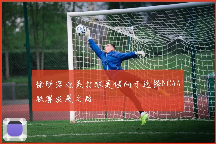 徐昕若赴美打球更倾向于选择NCAA联赛发展之路