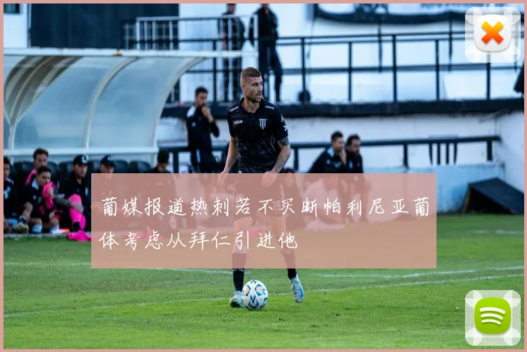 葡媒报道热刺若不买断帕利尼亚葡体考虑从拜仁引进他