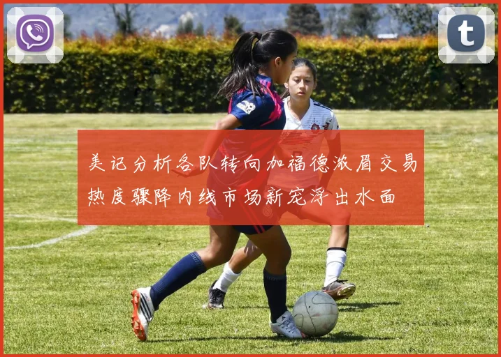 美记分析各队转向加福德浓眉交易热度骤降内线市场新宠浮出水面